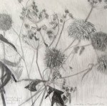 Dried Fennel with Thistles I