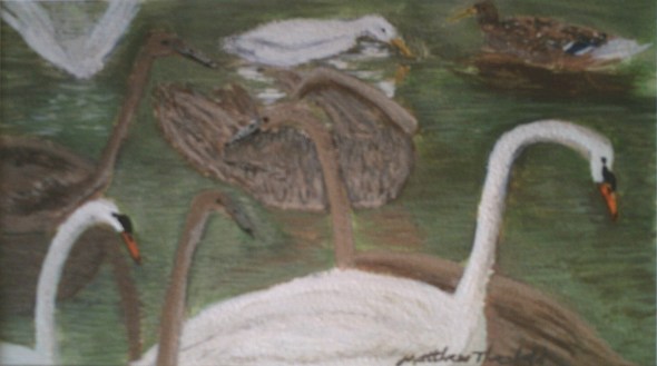 Swans, Cygnets and Ducks on the Water