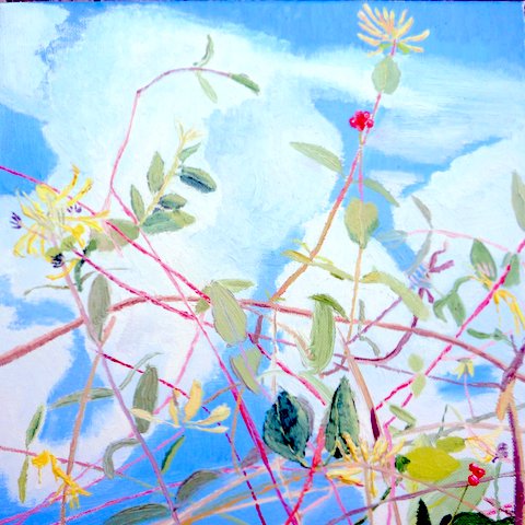 Honeysuckle and Berries