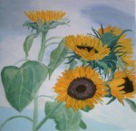 Sunflowers