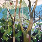 Hydrangea and Silver Birch