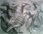Geese and a Coot, 2010