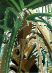 Palm Tree, 2014