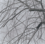 Willow Tree, 2014