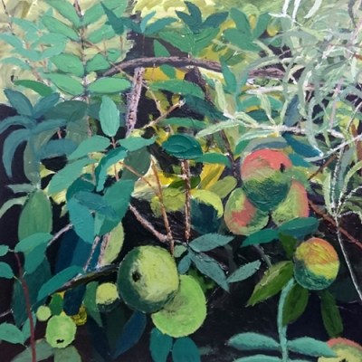 Apple Tree and Ornamental Pear