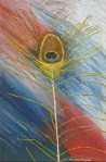 Peacock Feather