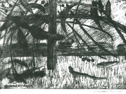 Ornamental Crabapple