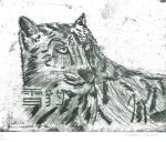 Xuebao, Snow Leopard