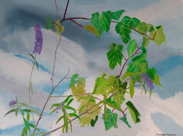 Buddleia and Vine
