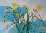 Daffodils, 2023