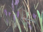 Crocuses