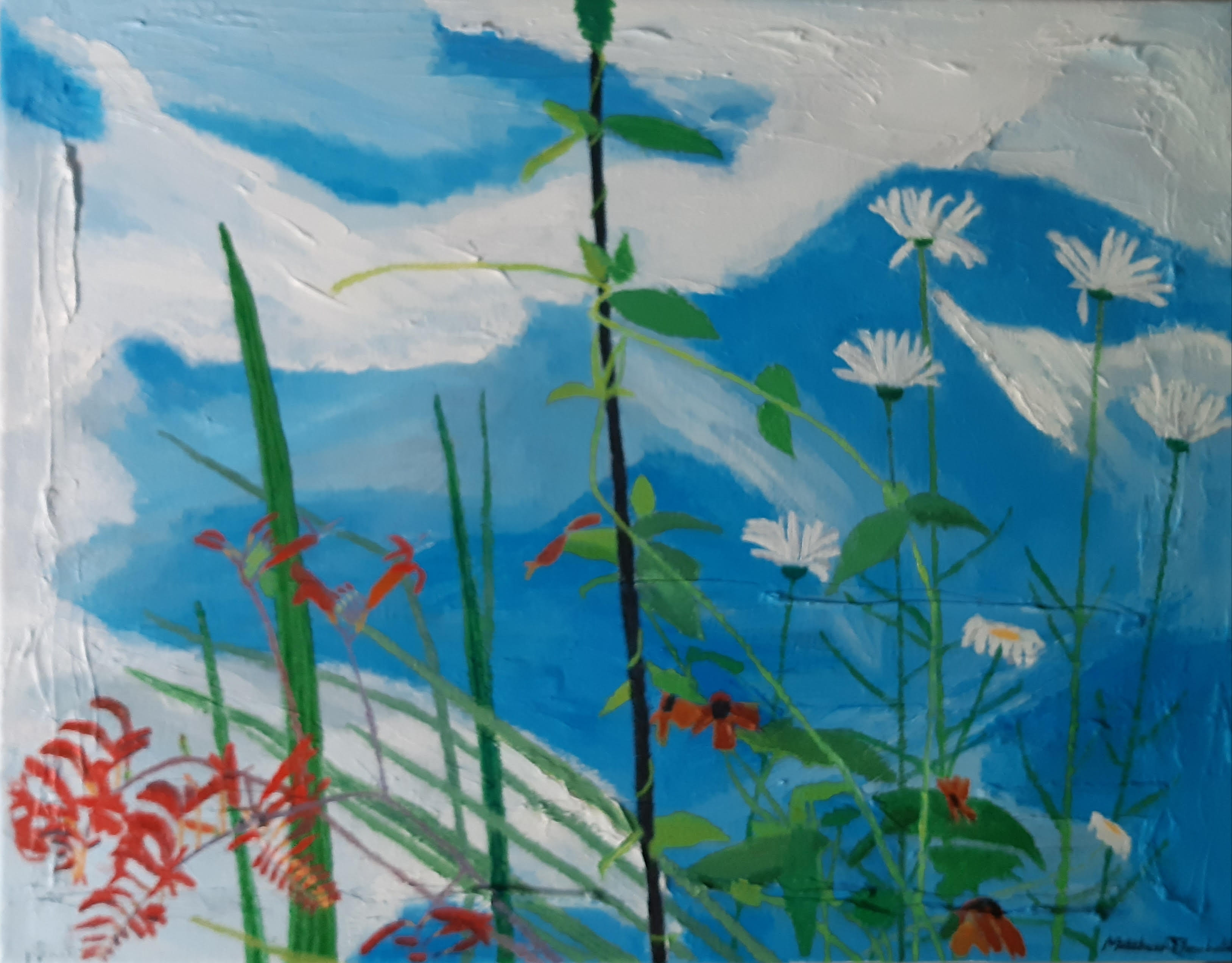 Crocosmia, Thunbergia and Daisies