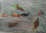 Ducks and a Coot on the Water, 2025