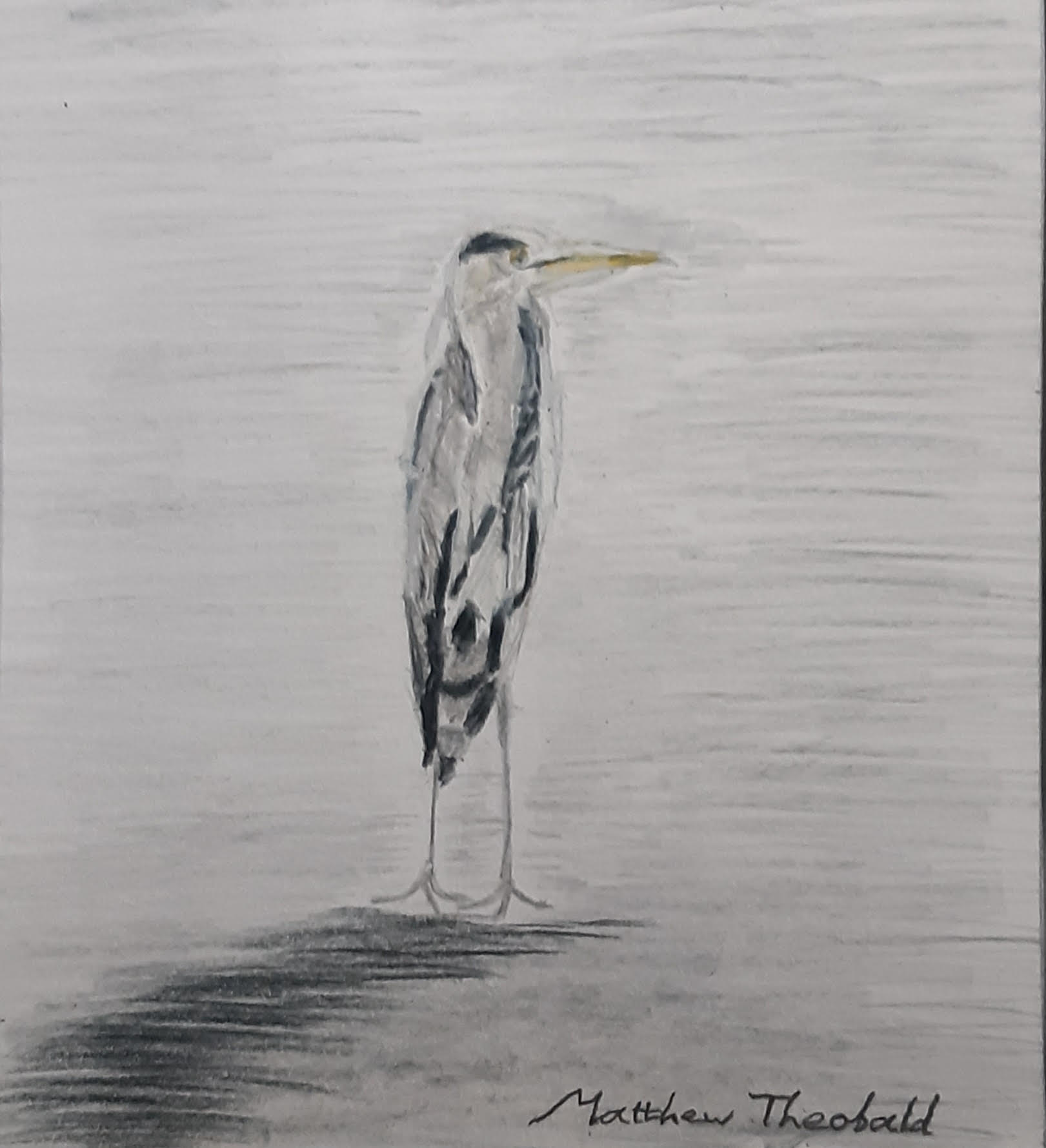 Heron