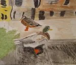 Ducks and Reflections, Venice, Italy, 2025