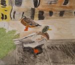 Ducks and Reflections, Venice, Italy