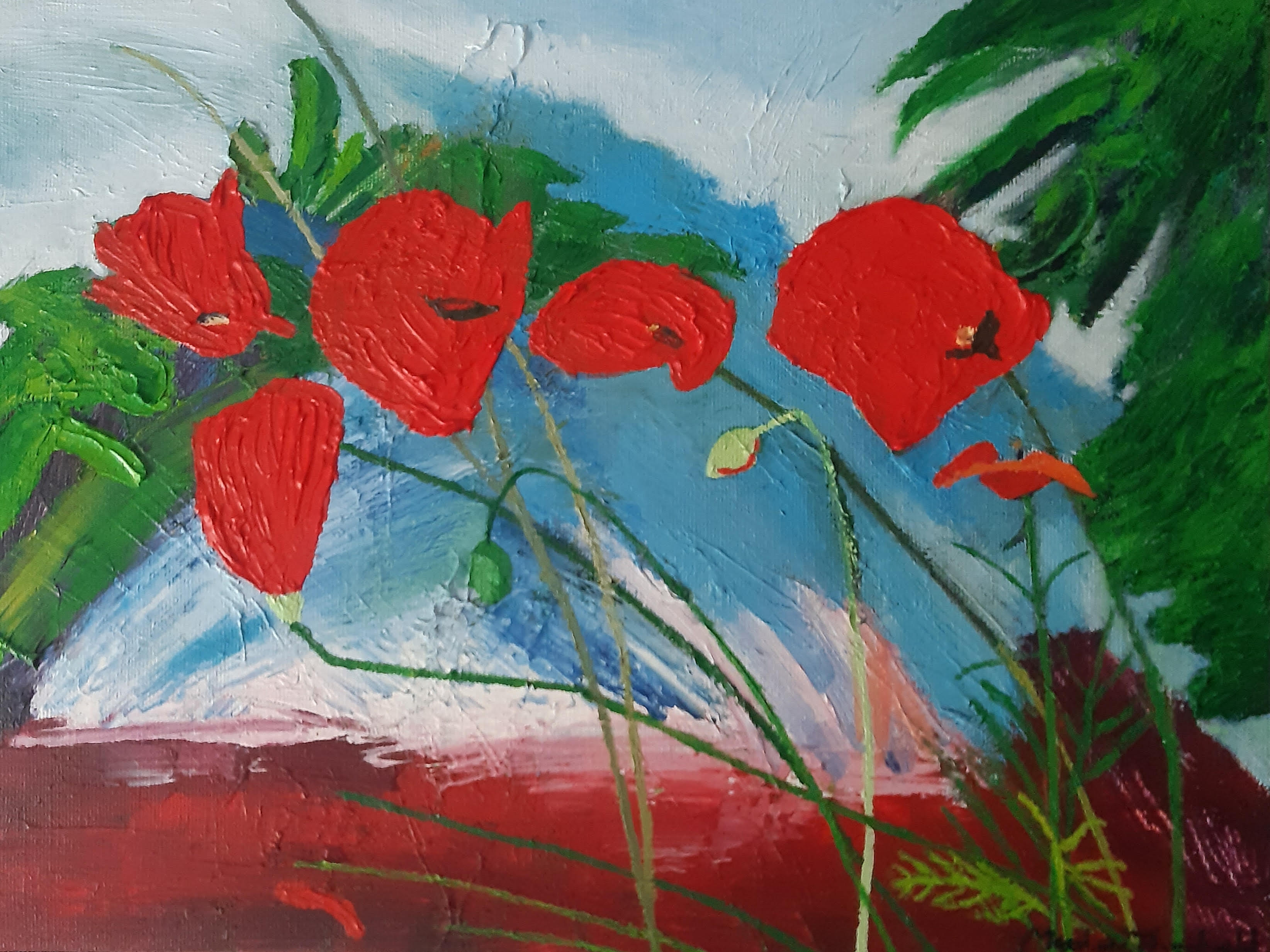 Poppies