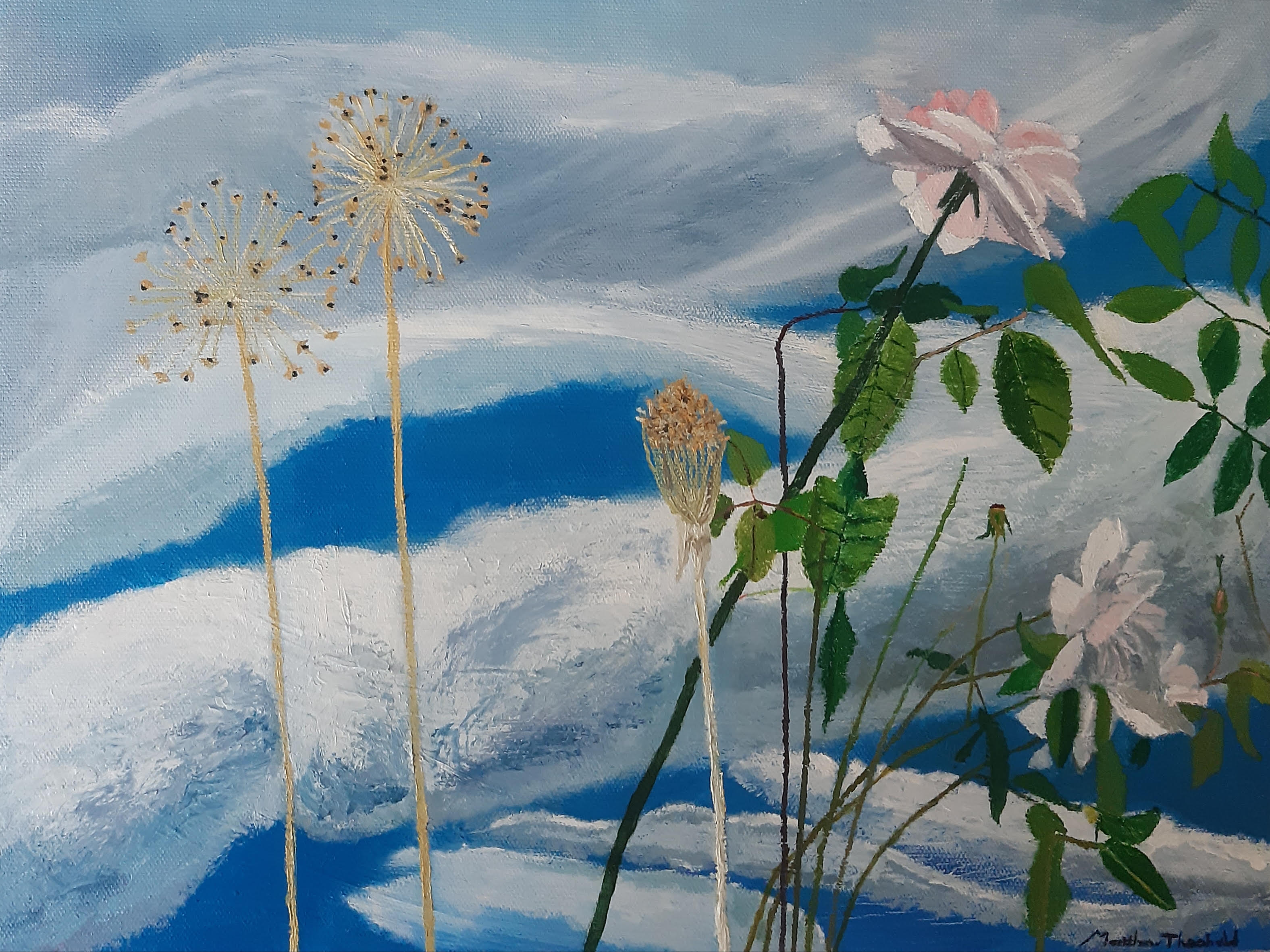 Allium and Roses