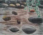 River Erme, Ivybridge, Devon, 2026