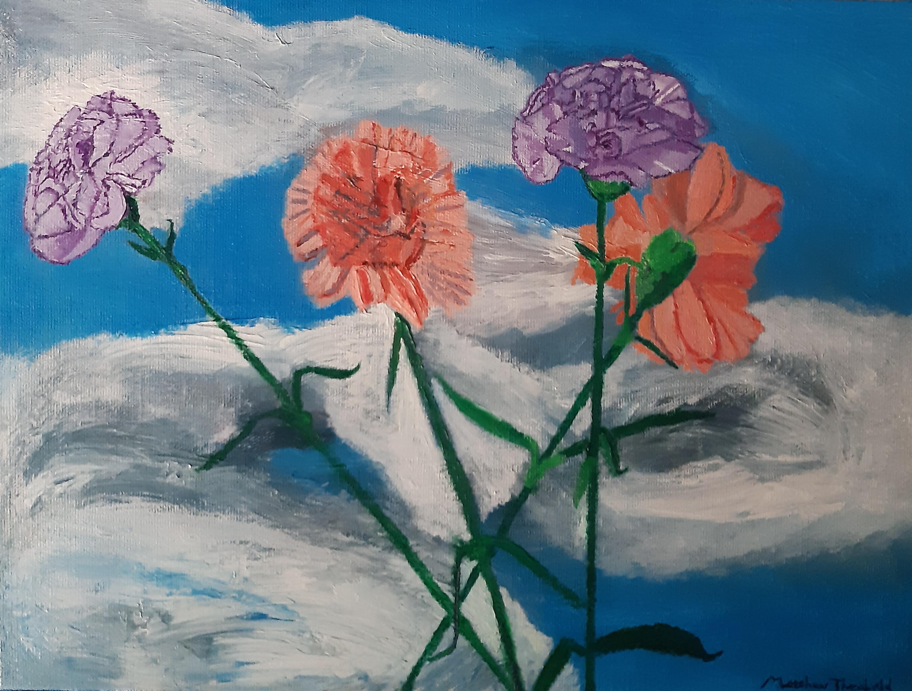 Carnations